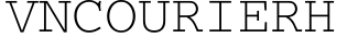 VNCourierH字体预览
