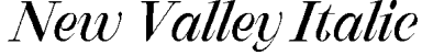 New Valley Italic字体预览图