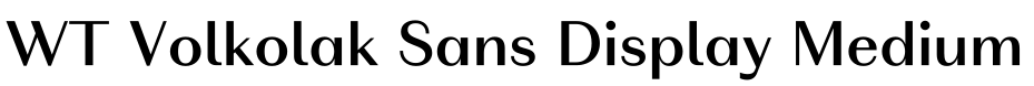 WT Volkolak Sans Display Medium预览图片