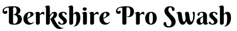 Berkshire Pro Swash预览图片