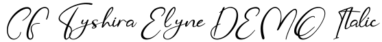 CF Tyshira Elyne DEMO Italic预览字体图片