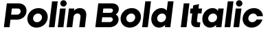 Polin Bold Italic预览图片