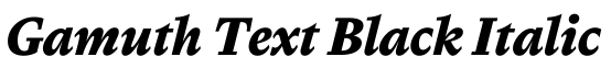 Gamuth Text Black Italic预览图片