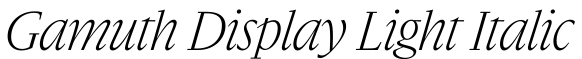 Gamuth Display Light Italic预览图片