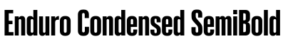 Enduro Condensed SemiBold预览图片