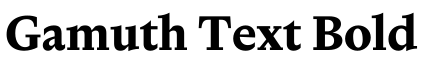 Gamuth Text Bold预览图片