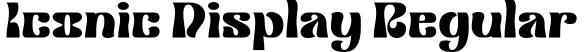 Iconic Display Regular字体预览图