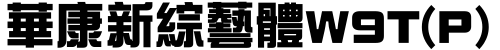 华康新综艺体W9T(P)字体预览图
