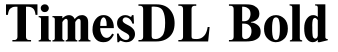 TimesDL Bold预览字体图片