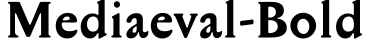 Mediaeval-Bold预览字体图片