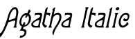 Agatha Italic字体预览图