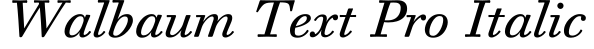 Walbaum Text Pro Italic预览字体图片