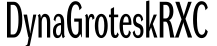 DynaGroteskRXC预览字体图片