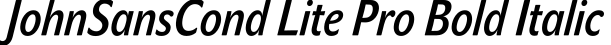 JohnSansCond Lite Pro Bold Italic预览图片
