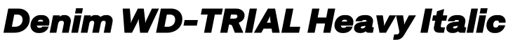 Denim WD-TRIAL Heavy Italic字体预览图
