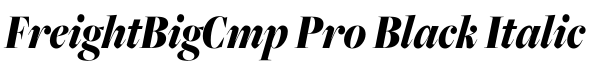 FreightBigCmp Pro Black Italic字体预览