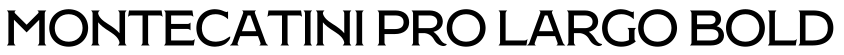 Montecatini Pro Largo Bold字体预览