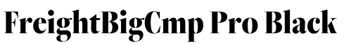 FreightBigCmp Pro Black字体预览
