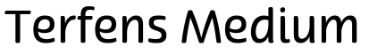 Terfens Medium字体预览图