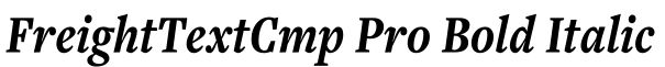 FreightTextCmp Pro Bold Italic字体预览