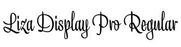 Liza Display Pro Regular字体预览