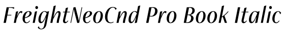 FreightNeoCnd Pro Book Italic字体预览