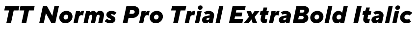TT Norms Pro Trial ExtraBold Italic预览图片