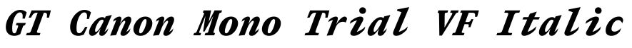 GT Canon Mono Trial VF Italic预览字体图片