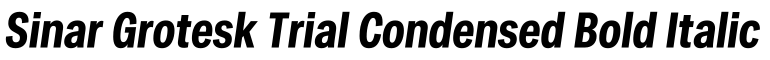 Sinar Grotesk Trial Condensed Bold Italic字体效果图
