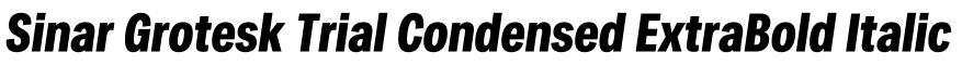 Sinar Grotesk Trial Condensed ExtraBold Italic字体效果图