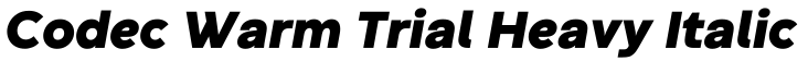 Codec Warm Trial Heavy Italic字体效果图