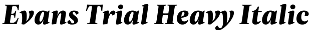 Evans Trial Heavy Italic字体效果图