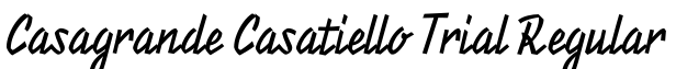 Casagrande Casatiello Trial Regular字体效果图