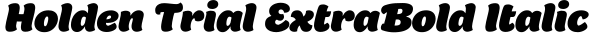 Holden Trial ExtraBold Italic字体效果图