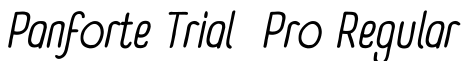 Panforte Trial Pro Regular字体效果图
