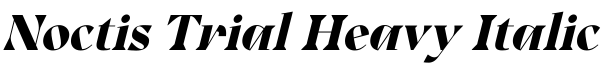 Noctis Trial Heavy Italic字体效果图