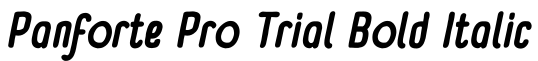 Panforte Pro Trial Bold Italic字体效果图
