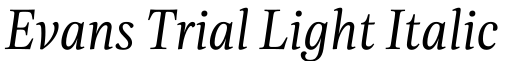 Evans Trial Light Italic字体效果图