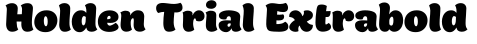 Holden Trial Extrabold字体效果图