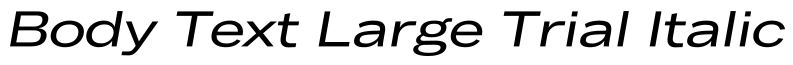 Body Text Large Trial Italic字体效果图