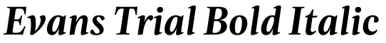 Evans Trial Bold Italic字体效果图