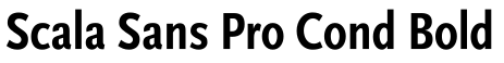Scala Sans Pro Cond Bold字体效果图